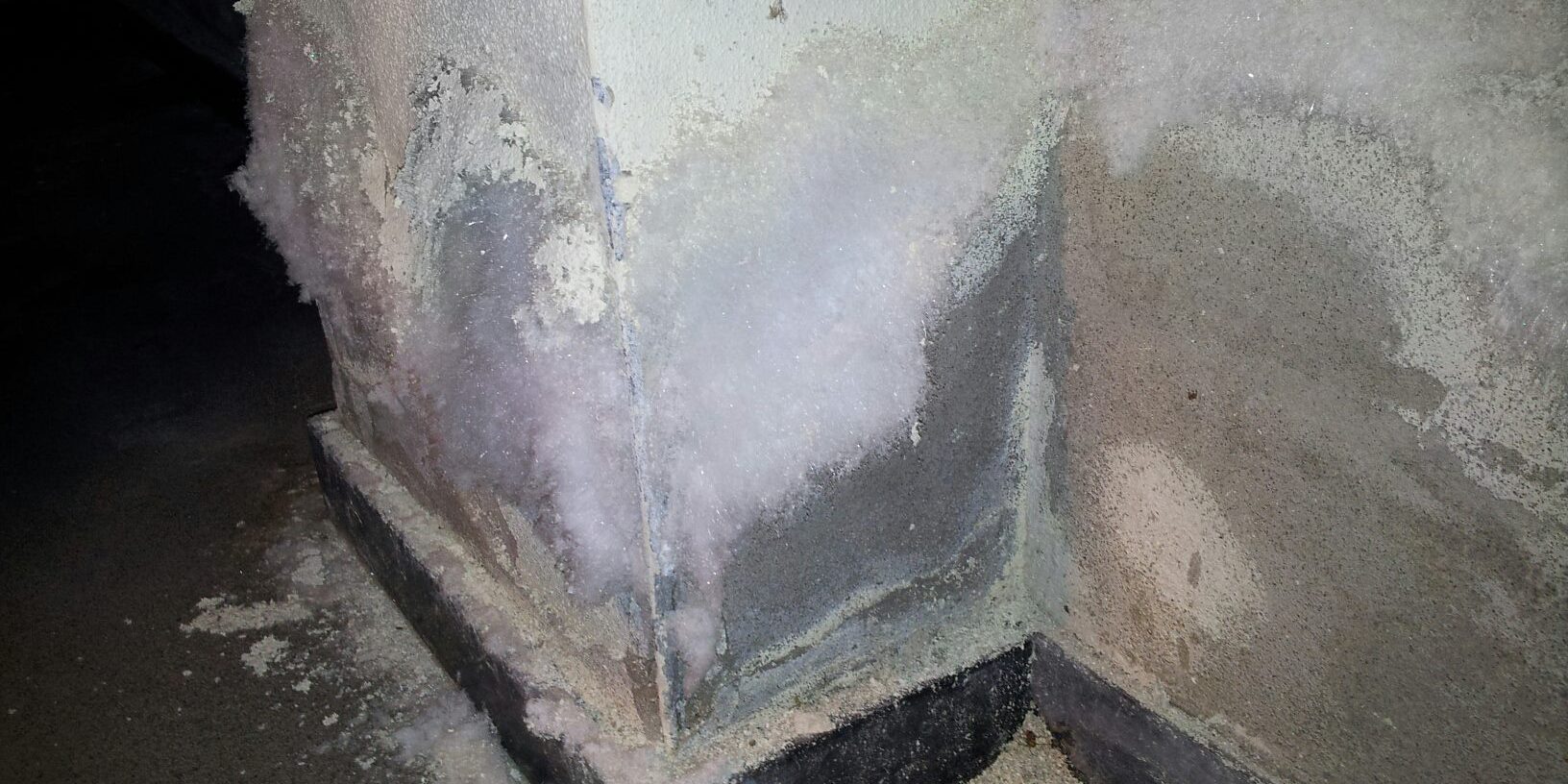 202075_529768667050223_431995724_o