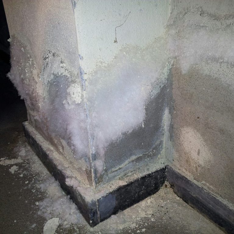 202075_529768667050223_431995724_o