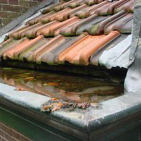 516 foto 001 000474 (Custom)