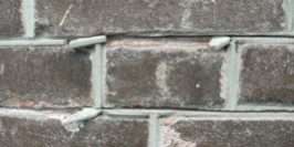 te harde voegen (Custom)